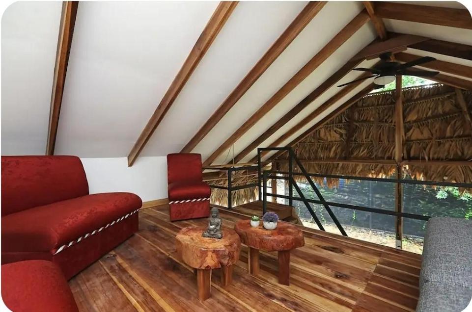 Evolution House Jungle Oasis Villa Hone Creek Eksteriør billede