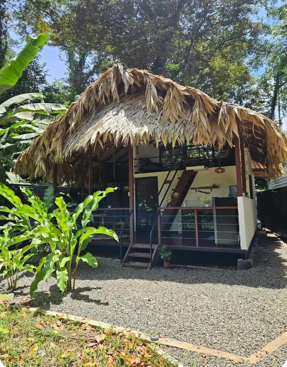 Evolution House Jungle Oasis Villa Hone Creek Eksteriør billede