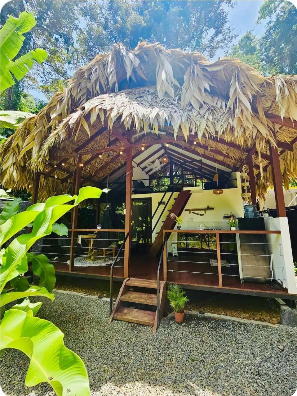 Evolution House Jungle Oasis Villa Hone Creek Eksteriør billede