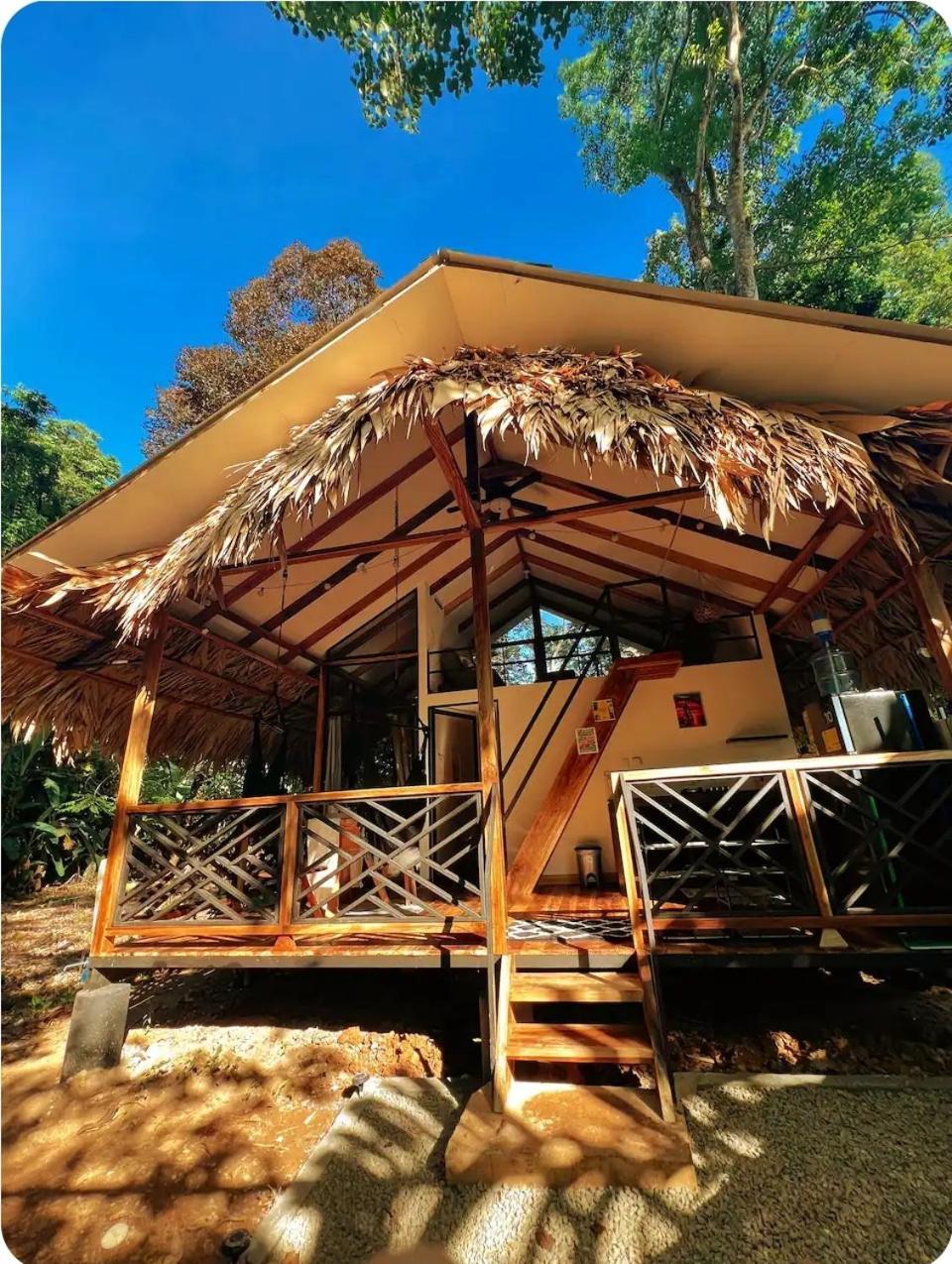 Evolution House Jungle Oasis Villa Hone Creek Eksteriør billede