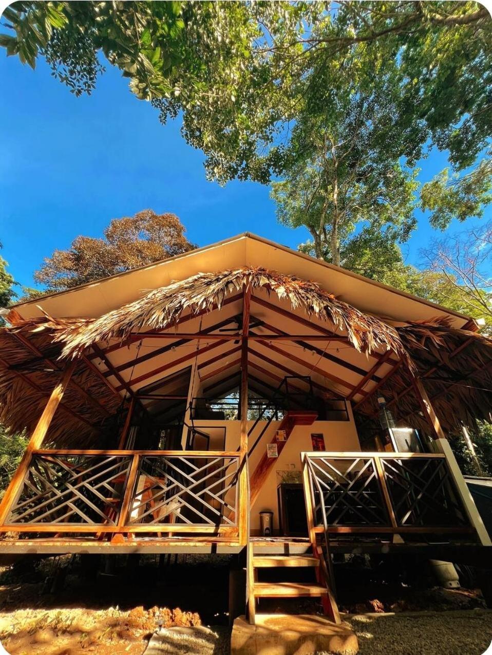 Evolution House Jungle Oasis Villa Hone Creek Eksteriør billede