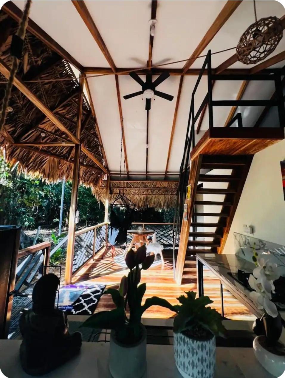 Evolution House Jungle Oasis Villa Hone Creek Eksteriør billede