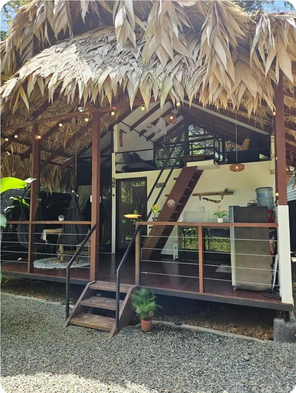 Evolution House Jungle Oasis Villa Hone Creek Eksteriør billede